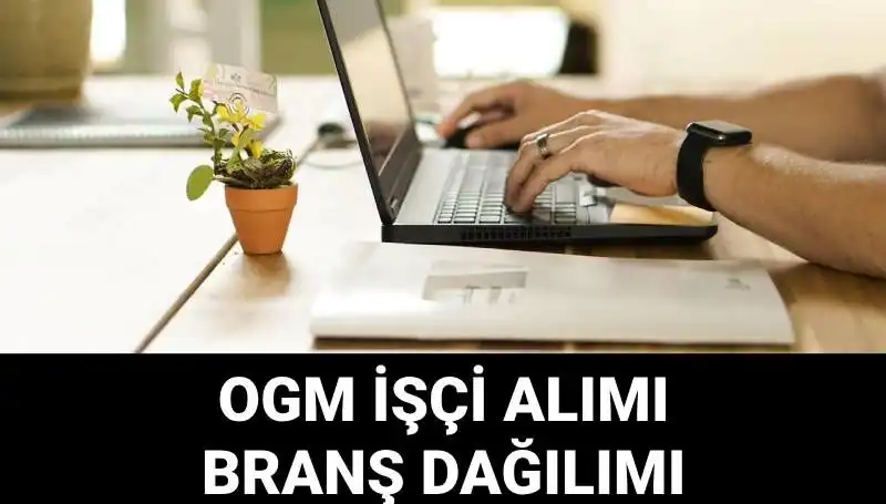 Orman Genel Müdürlüğü 4500 Geçici İşçi Alımı: Başvuru ve Şartlar